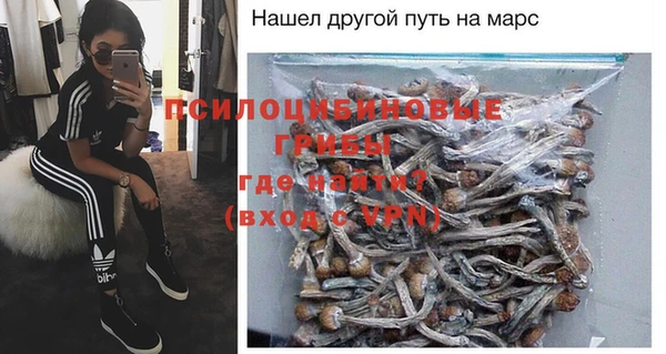 скорость Богданович