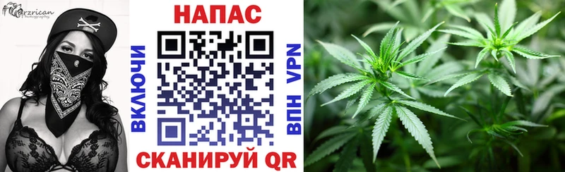 МАРИХУАНА SATIVA & INDICA  Купить где  Богучар 